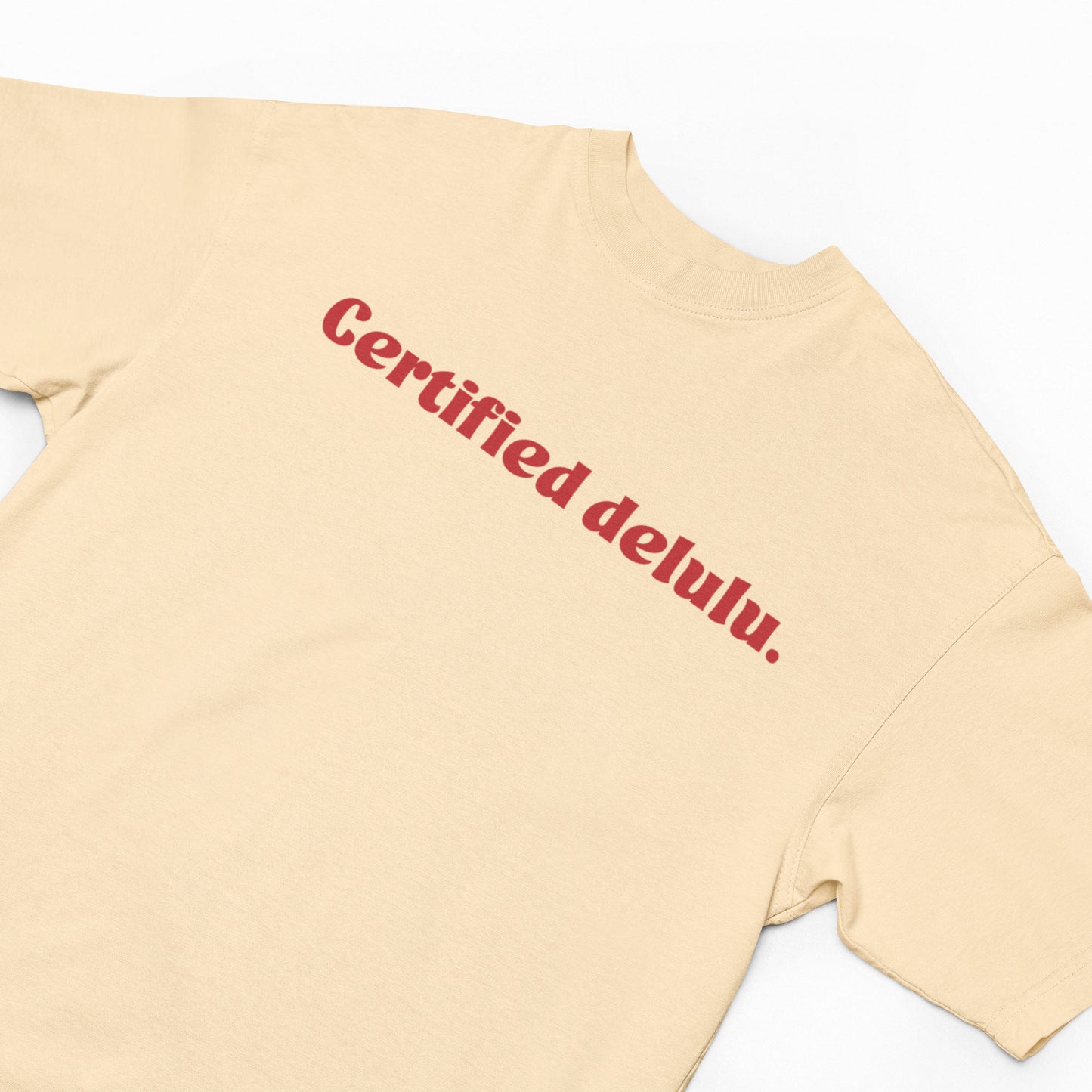 Certified Delulu Oversized T-Shirt
